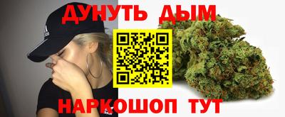 сатива Лесосибирск
