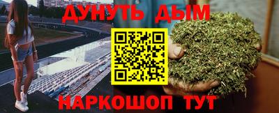 сатива Лесосибирск