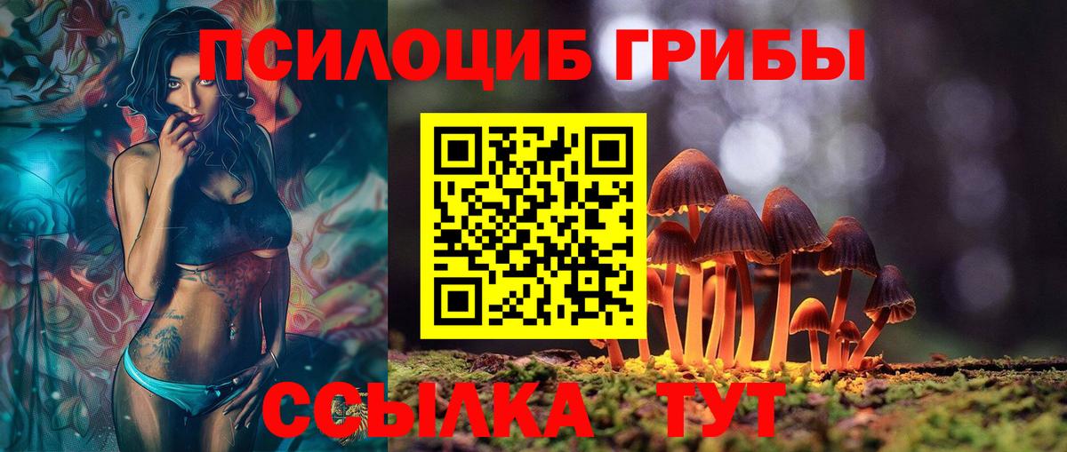 Жуковский  Галлюциногенные грибы мицелий  Вход с VPN 